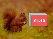 Праздники 1 октября 2021