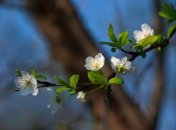 Погода в Украине на март 2023