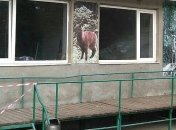 В Харьковской области обезьяны покалечили работника зоопарка