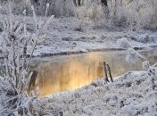 1 марта - приметы и обряды в день Маремьяны Кикиморы