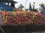 Самый лучший фрукт