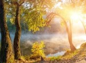 Прогноз погоды в Украине на 21 сентября: на большей территории дожди