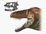 Палеонтологи открыли новый вид тираннозавров