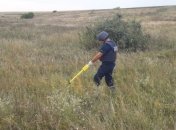 Количество погибших от мин: Украина в числе "лидеров"