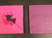 На основе раковин моллюсков создадут прочную броню