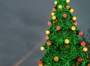 Открытие елки в Одессе закончилось потасовкой с Дедом Морозом (видео)