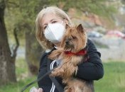 Доказано, что собаки могут заражаться COVID-19 от своих хозяев