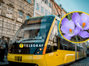 Прогноз погоды