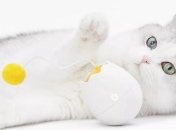 Порадуйте своего питомца: игрушка для котиков - Xiaomi FurryTail Toy (Видео)