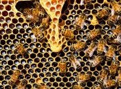 Праздник 10 октября: главные приметы и что категорически запрещено делать