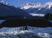 19 февраля. Приметы дня