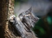 Стволы нужно обработать