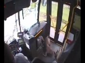 Олень на бегу столкнулся с автобусом (Видео)