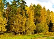 Погода в Украине на сегодня: на всей территории будет солнечно  