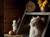 Знаменательные события в истории: 27 октября 2016 года