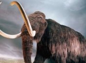 Почему исчезли мамонты?  