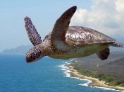 Ученые выяснили, сколько дикой природы осталось на планете