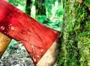 Более 300 тысяч гривен убытка: на Закарпатье незаконно вырубали деревья