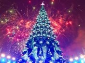 Украинцы могут остаться без главной елки страны 