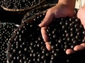 Эксперты назвали отличную диету для очистки кишечника