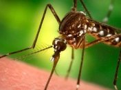Новое средство от малярии: теперь кровососы будут боятся нас