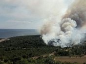 Украинские спасатели помогают тушить масштабные пожары в Черногории (Видео)