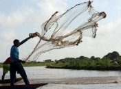 Комитет Рады рекомендовал Кабмину изучить ситуацию с рыболовством в Азовском море