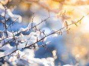 В Украине в ближайшие дни ожидают усиление морозов