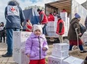 Красный Крест доставил на Донбасс 16 грузовиков гумпомощи