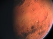 На Марсе американский энтомолог обнаружил змей и пчел (Фото)