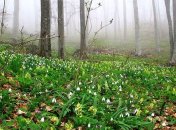 19 марта. Приметы дня