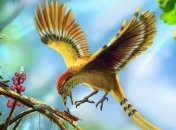 Палеонтологи нашли прародину всех современных птиц 