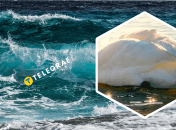 Коллаж "Телеграфа"