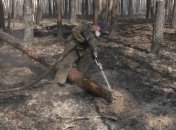 ГАЗО: В течении последних трех дней в зоне отчуждения пожаров не зафиксировано