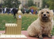 Собаки запоминают слова, связывая их с размером объекта