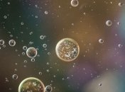 Показать все, что скрыто: разработан метод, который покажет "спрятанную" инфу о клетках