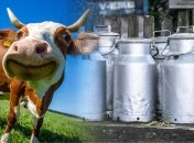 На молочном рынке Украины наметилась опасная тенденция