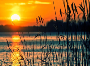 какие существуют обряды и запреты в День летнего солнцестояния