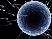 iPad сможет определять шансы на репродуктивный успех