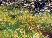 Ученые доказали, что некоторые сорняки полезны для человека