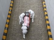 Коронавирус добрался до НАТО: в штаб-квартире подтверждают наличие инфицированного