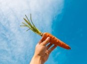 Мабуть, найшвидший і найпростіший спосіб варіння моркви