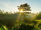Что значит Страстная пятница перед Пасхой для нас: заговоры, обряды, приметы и молитвы
