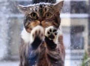 До конца ноября не стоит особо рассчитывать на хорошую погоду в Украине