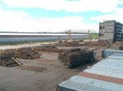 СБУ перекрыла схему незаконного экспорта древесины в Европу
