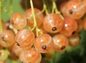 4 серпня: яке сьогодні свято, прикмети і заборони