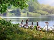 Праздник 28 сентября: главные приметы и что категорически запрещено делать