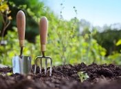 В начале мая обязательно нужно посеять зелень и овощи