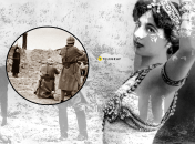 Нидерландская экзотическая танцовщица