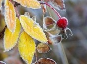 Мороз, шторм и ветер: в каких регионах выпадет снег 